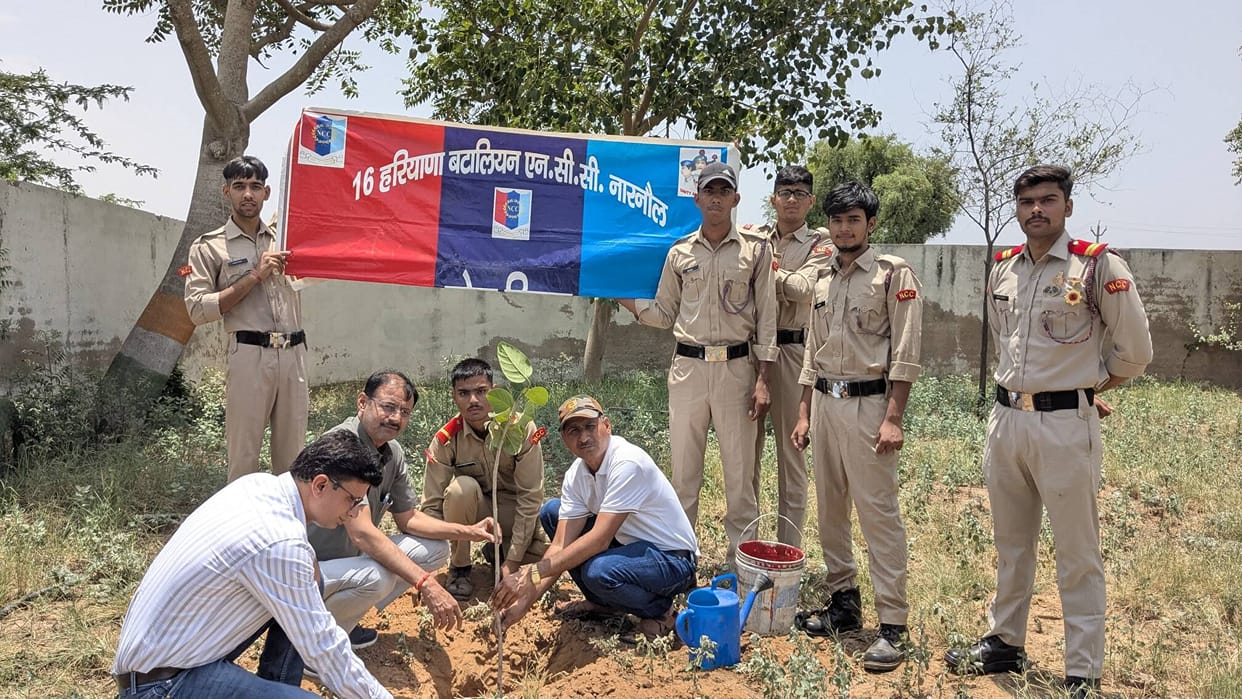 A pledge to plant as many trees as possible.