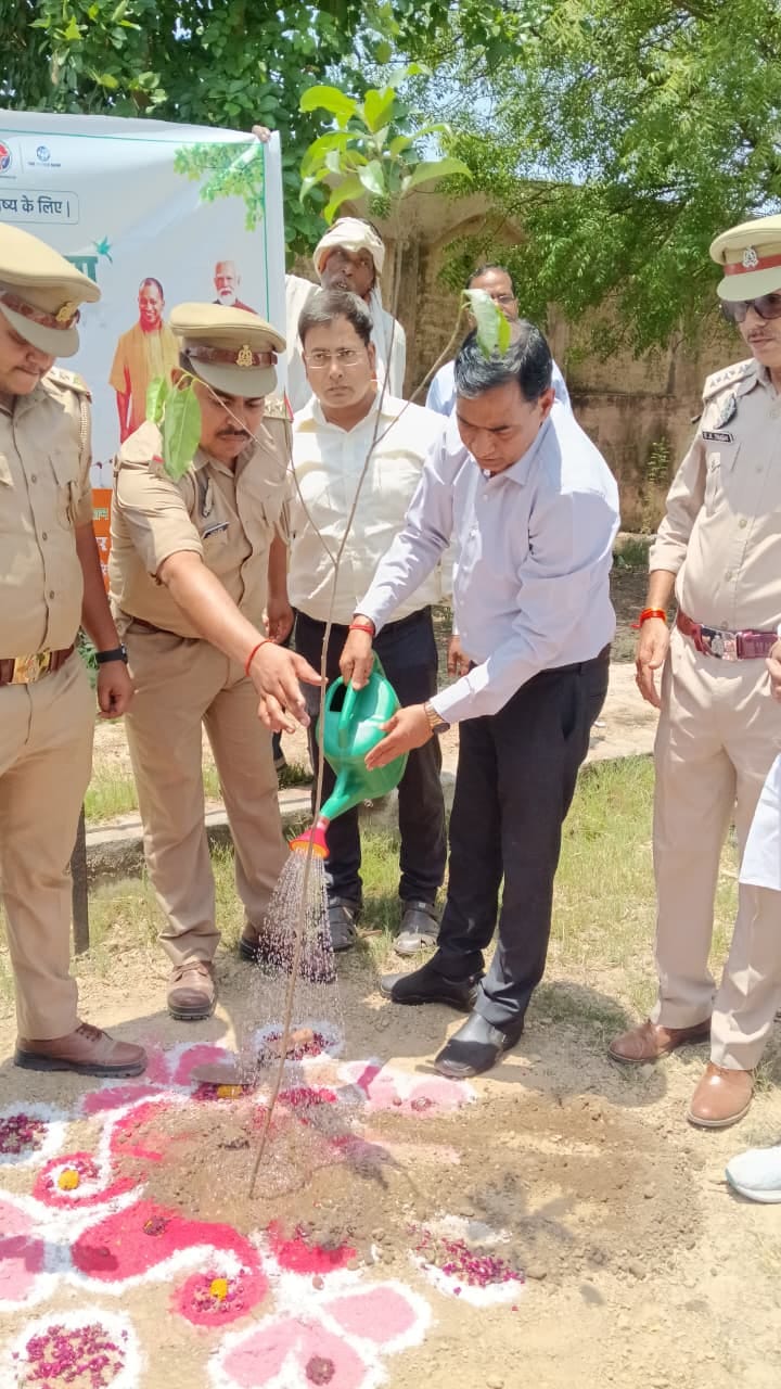 Plants planted on Environment Day, pledge to protect them