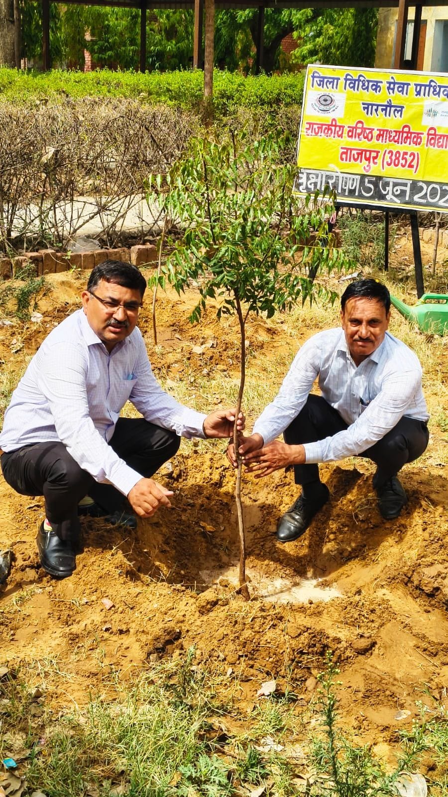 'Triveni' planted on World Environment Day.