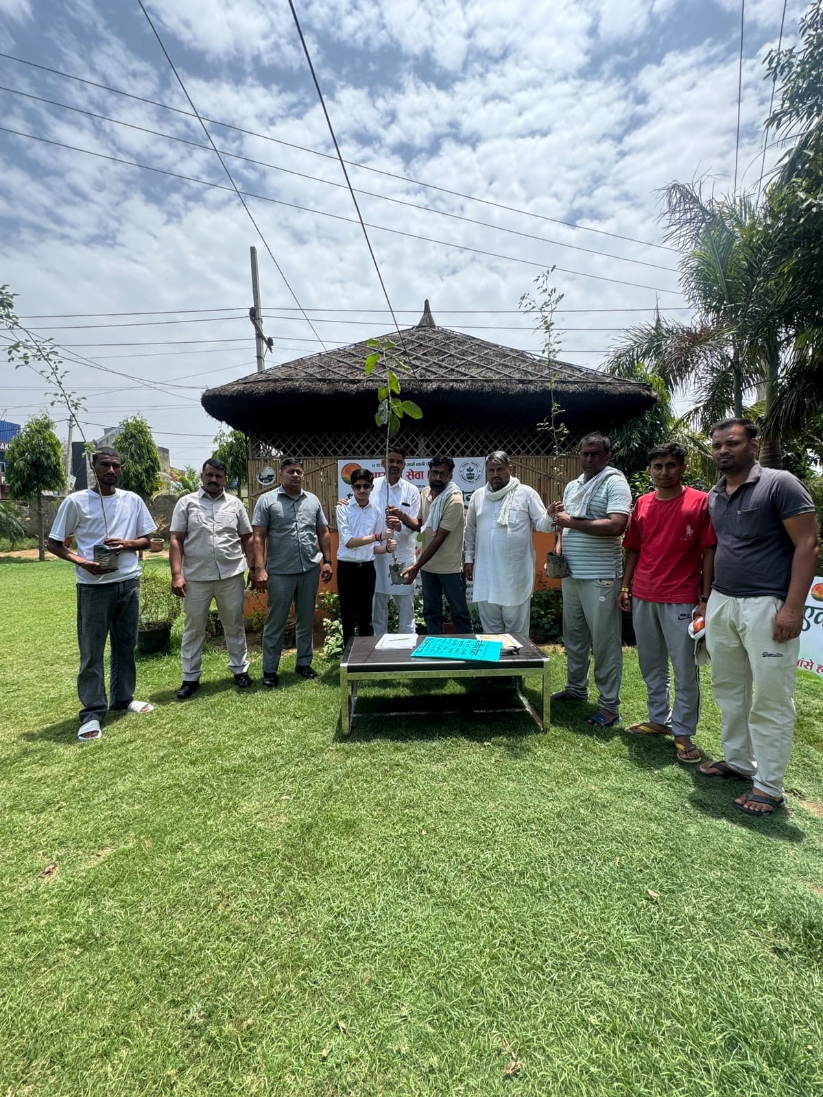 Donated medicinal plants