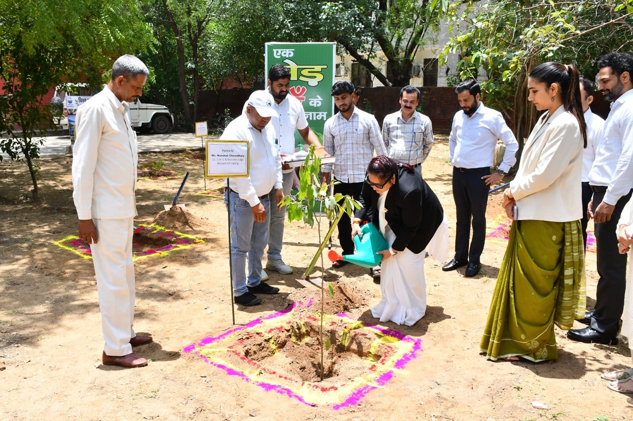 Environmental conservation is our collective responsibility: Judge