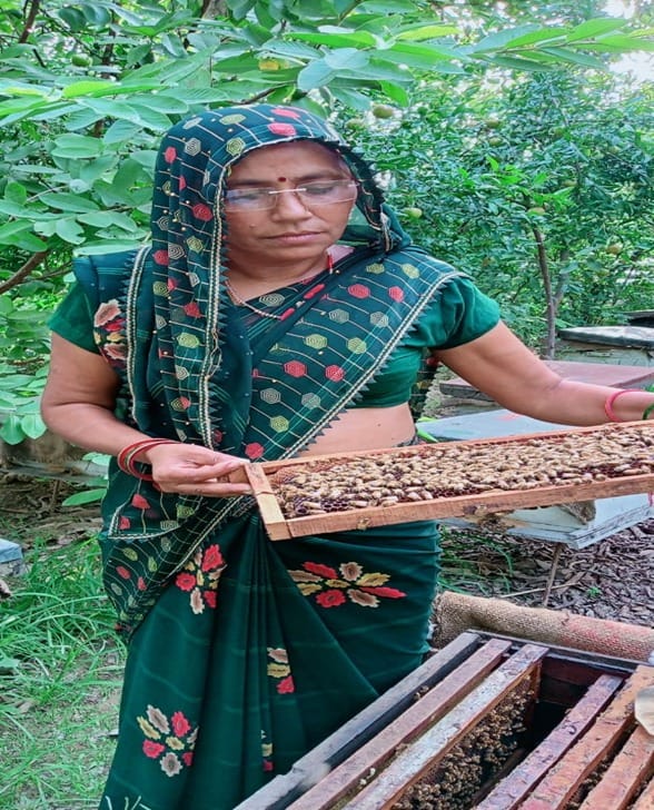 Gayatri was in debt and honey brought sweetness to her life