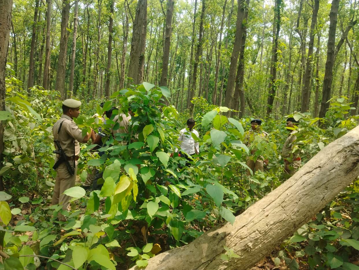 Woman murdered by her throat slit face burned to conceal identity body found in forest IN Moradabad