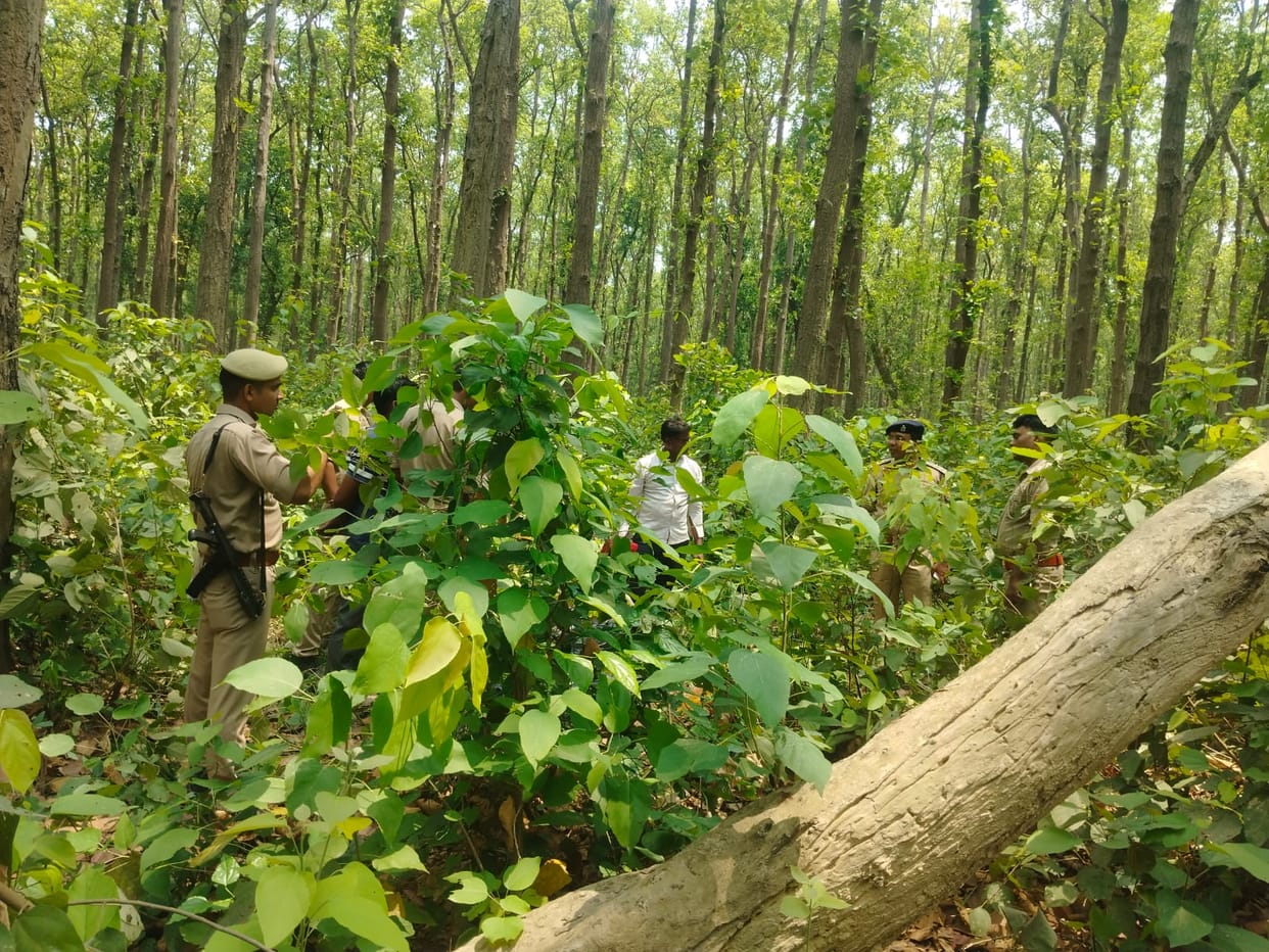 Woman murdered by her throat slit face burned to conceal identity body found in forest IN Moradabad