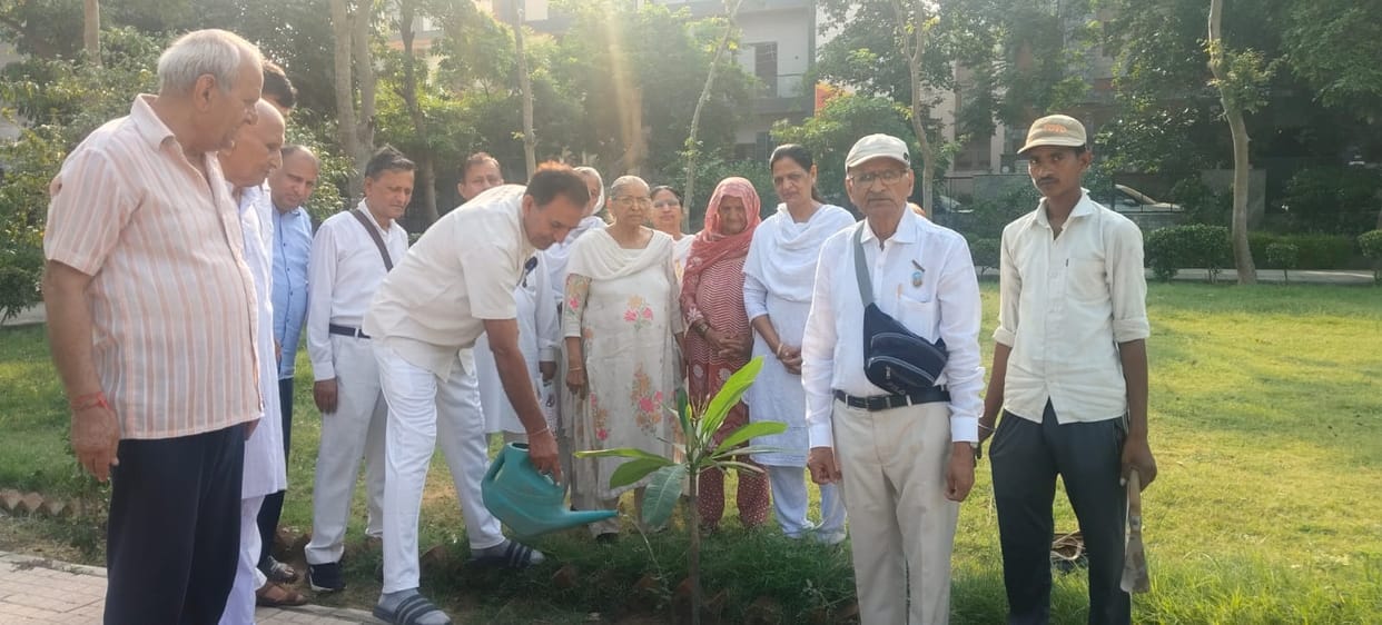 Brahma Kumari sisters gave the message of saving the environment by planting trees.