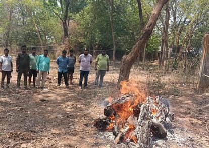 4 year old Chital died after being attacked by stray dogs in Korba