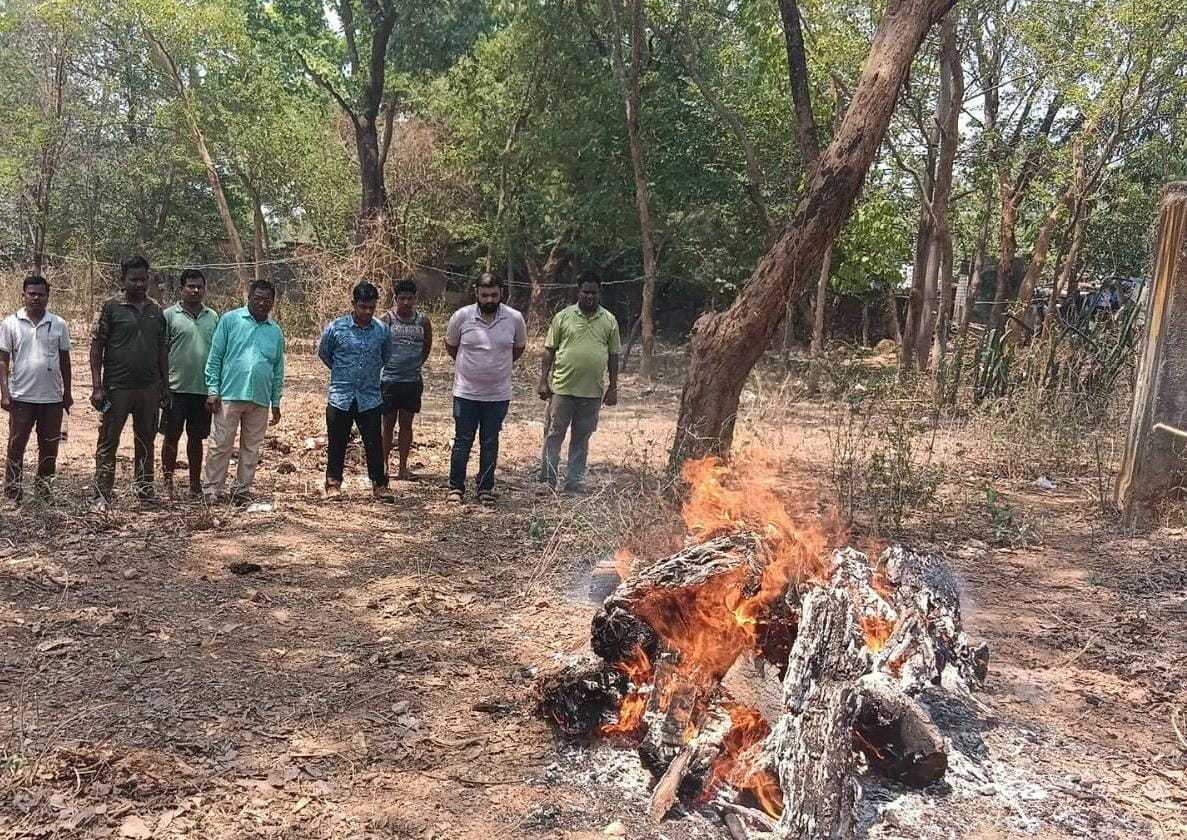 4 year old Chital died after being attacked by stray dogs in Korba