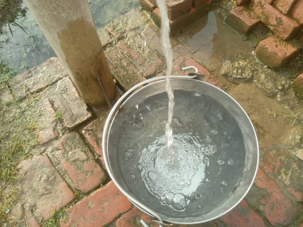 Pigeon feathers coming out with smelly water