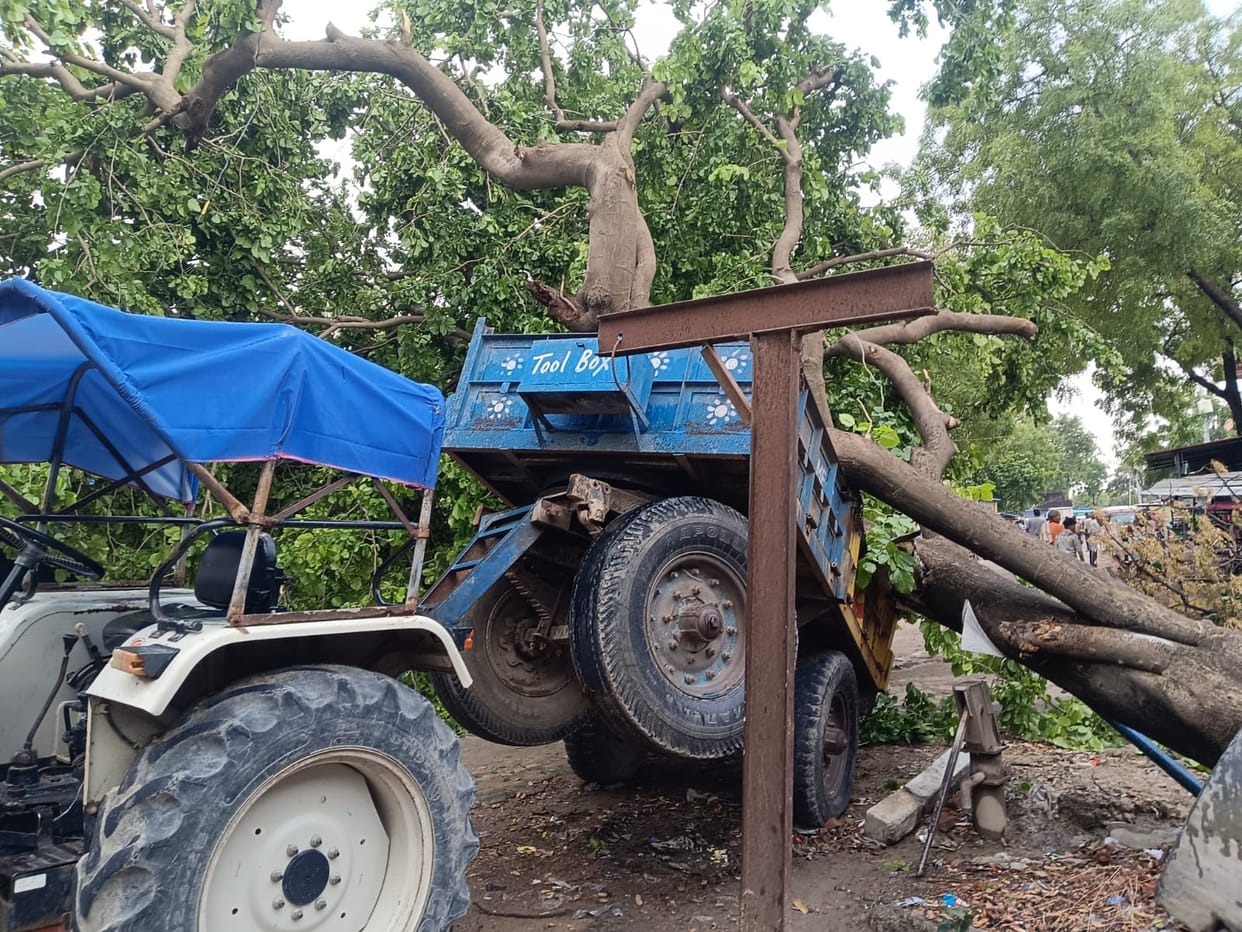 Temperature crosses 40 degrees again after 10 days, yellow alert for storm-rain after two days