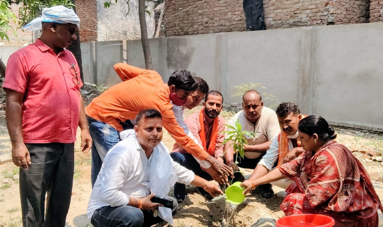 World Environment Day: Planting trees gives message of environmental protection