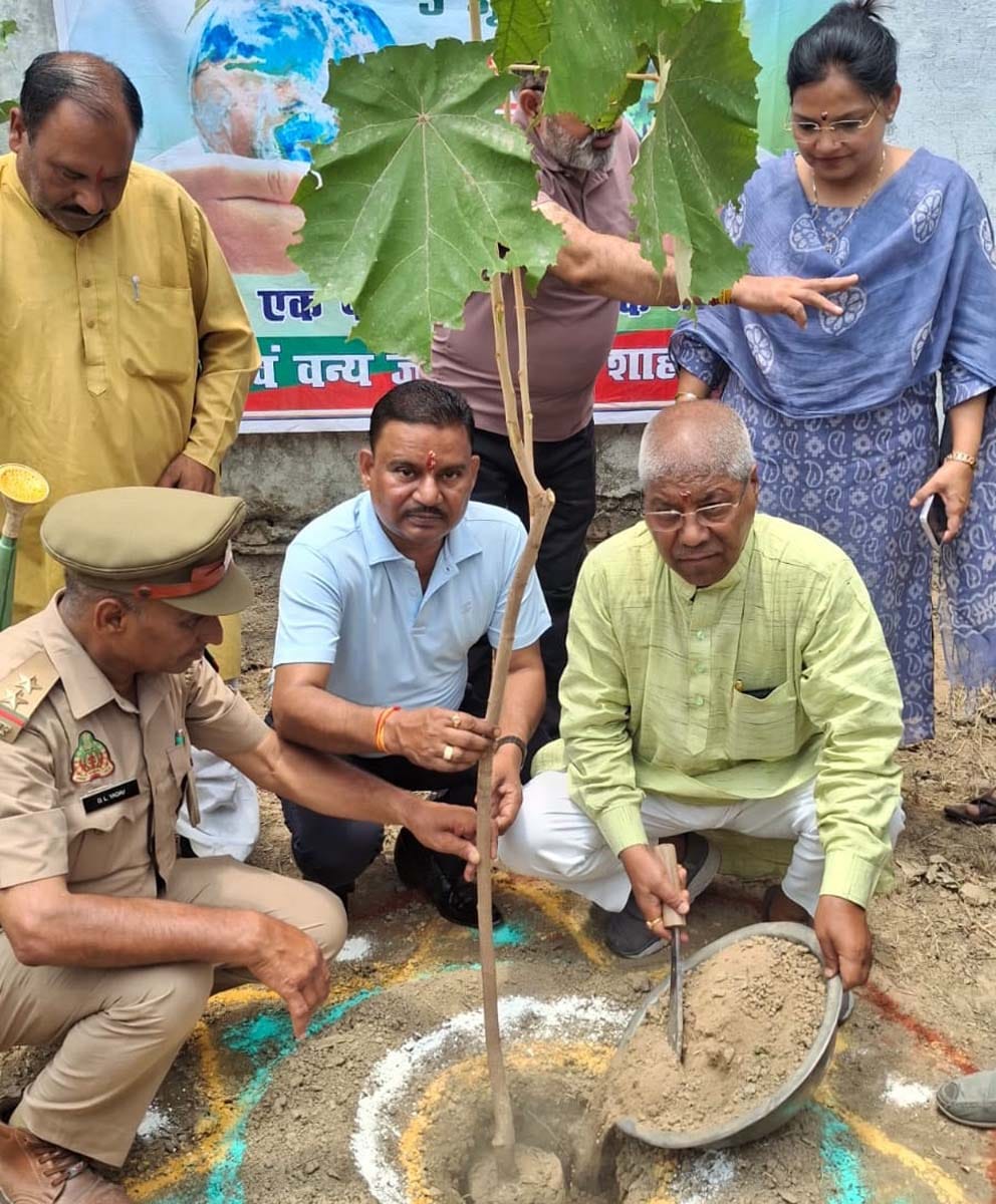 Over eight lakh saplings planted on Environment Day