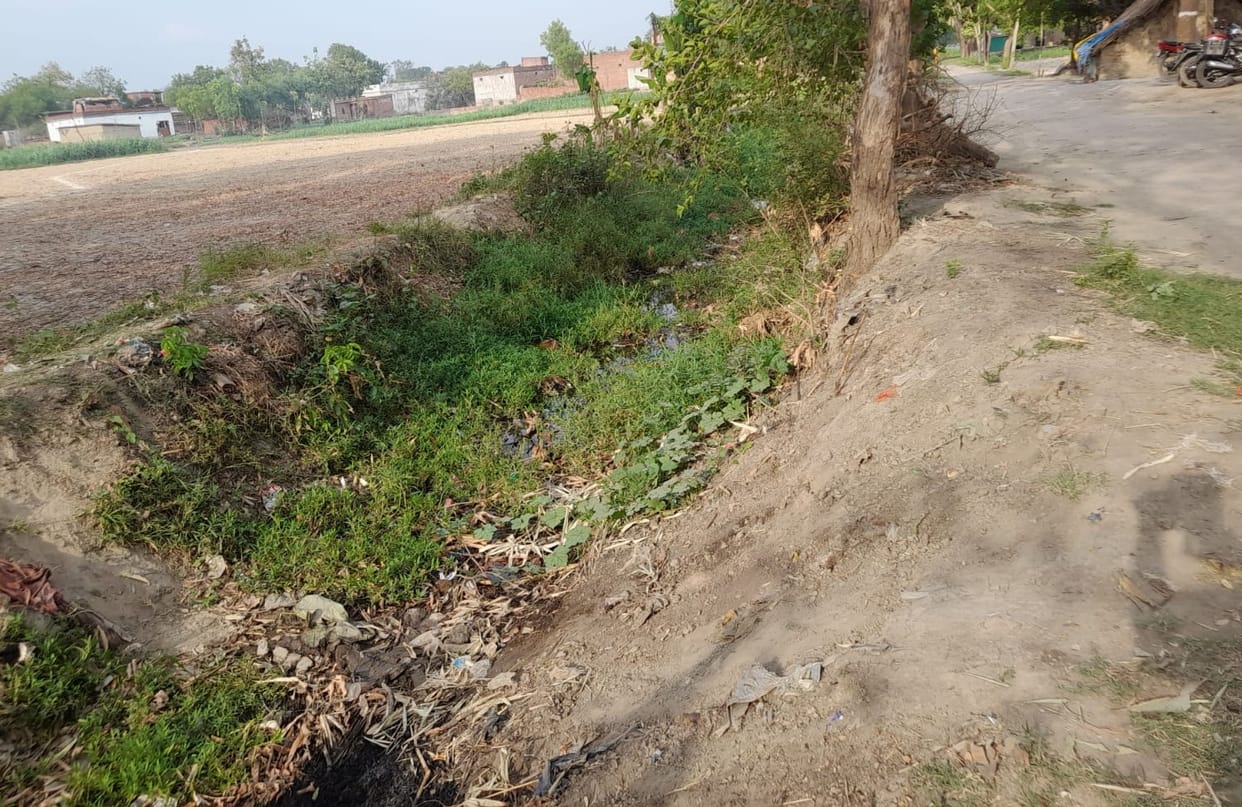 Canals cleaned with Rs 84 lakh, bushes in Rajbaha-Minor are giving testimony