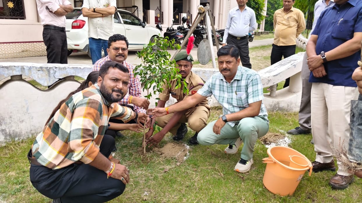 15.86 lakh saplings were planted in the district