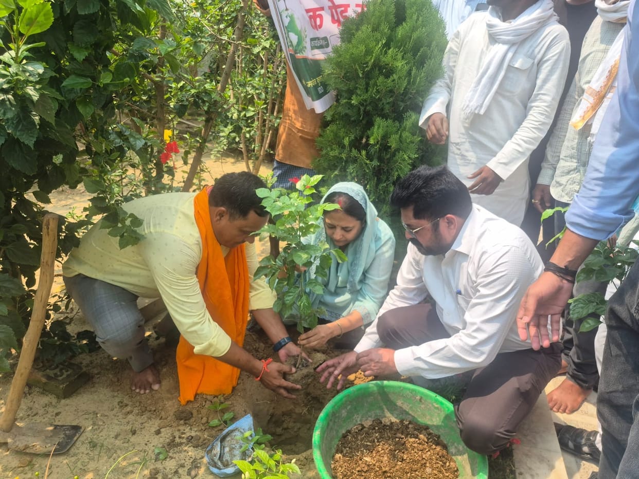 6 lakh trees planted to make the earth green