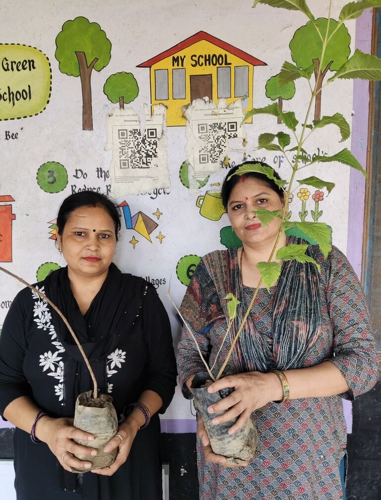 Call to plant more trees for environmental conservation.