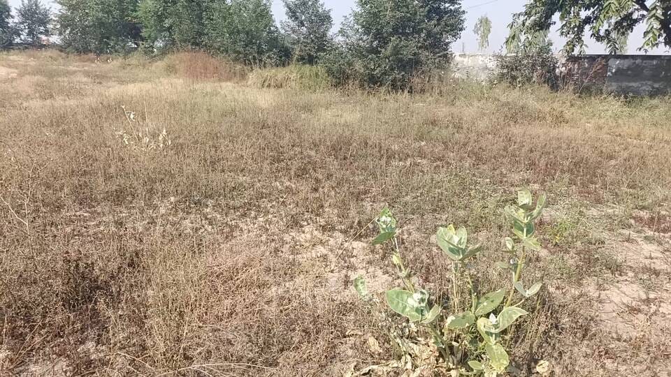 Rajiv Gandhi Block Level Sports Stadium is in a bad condition