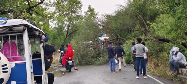 Prayagraj News: तेज आंधी से पेड़ गिरा, रास्ता बाधित