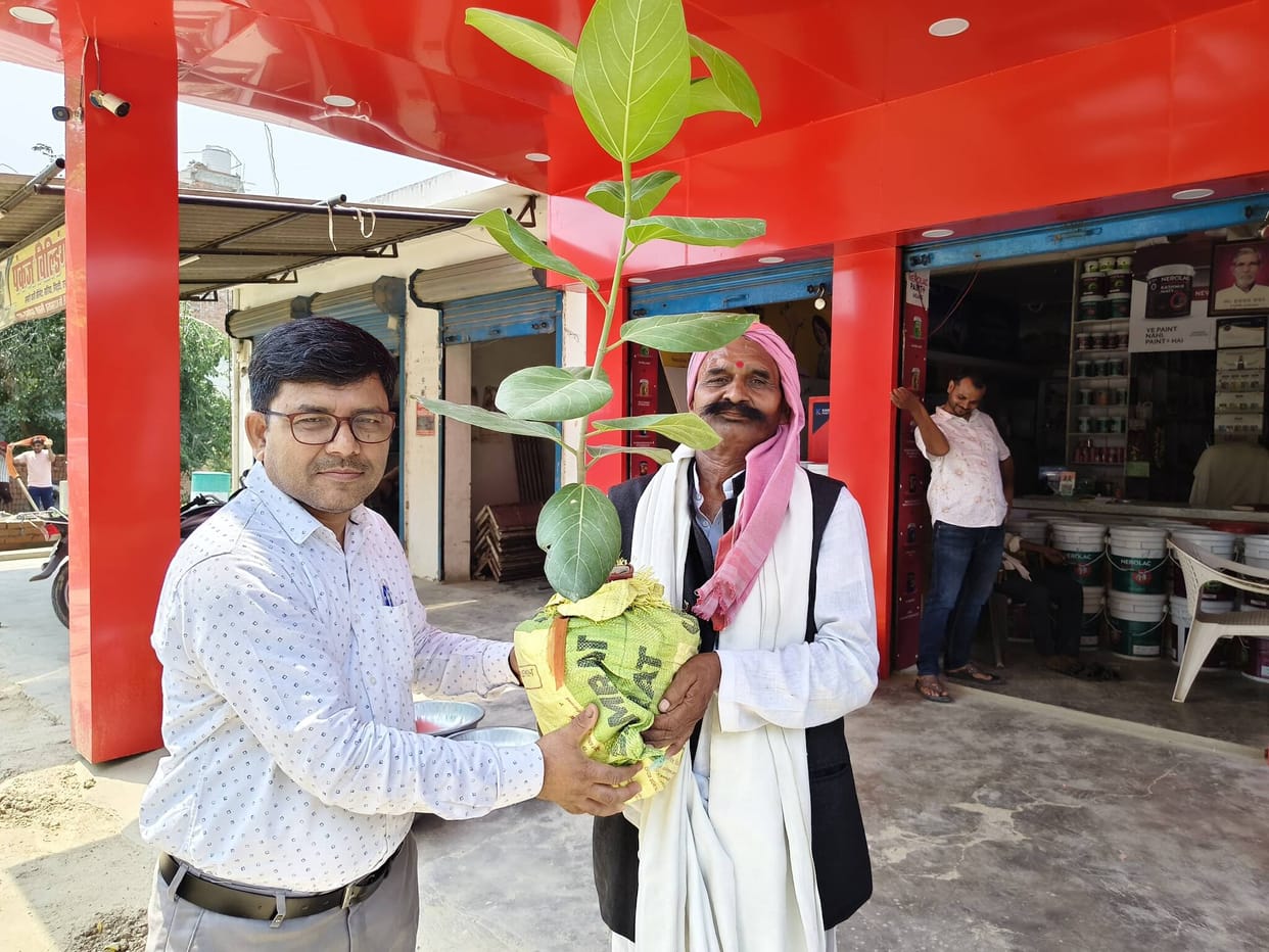 Pledge to go green on World Environment Day