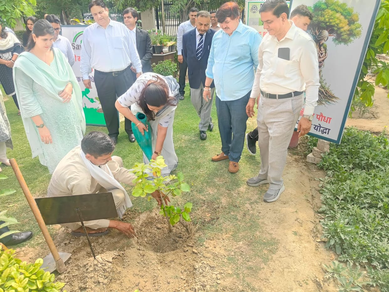 District Judge planted a tree in the district court premises.