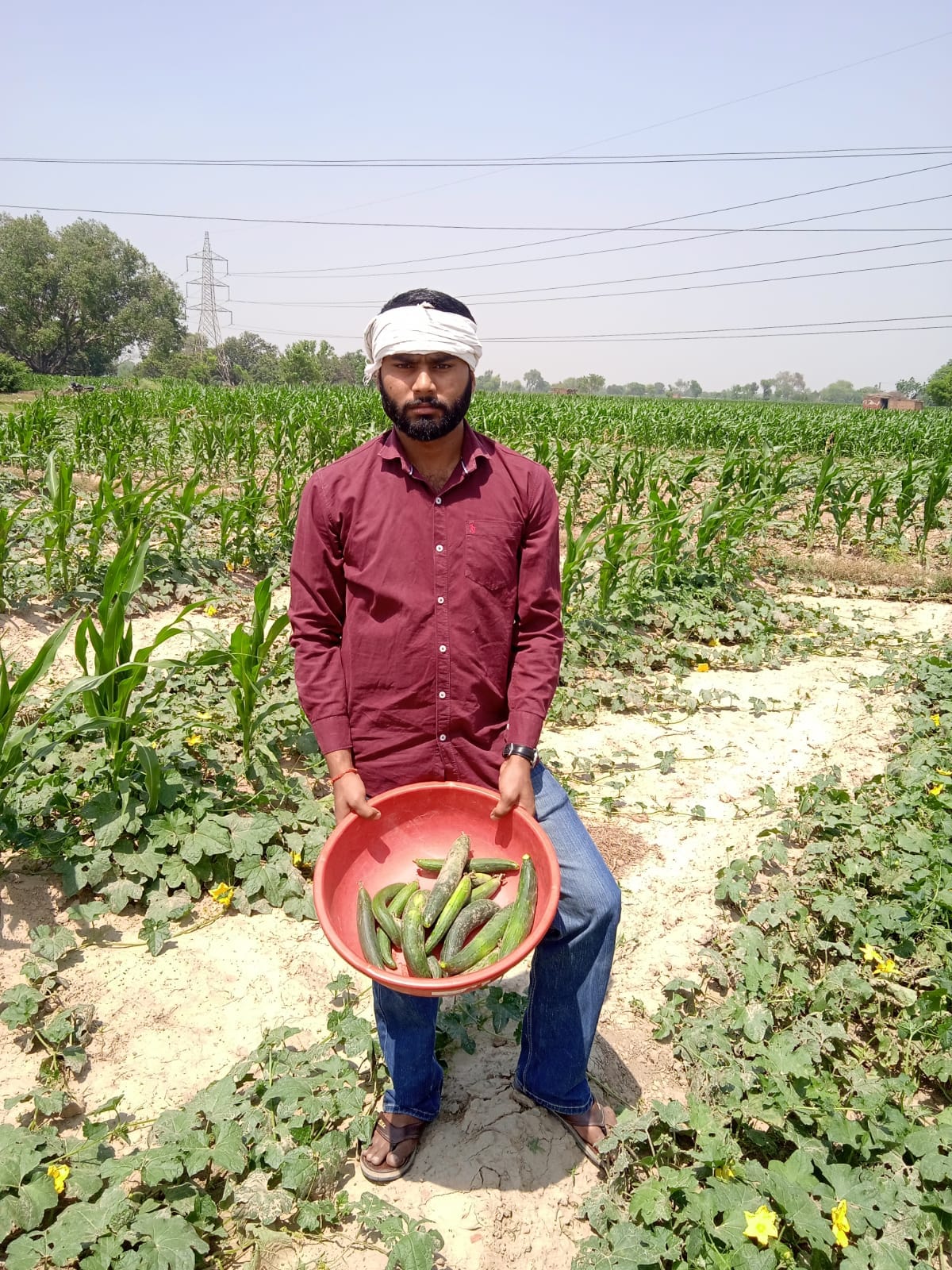 Pawan quit his job and is earning lakhs from farming.