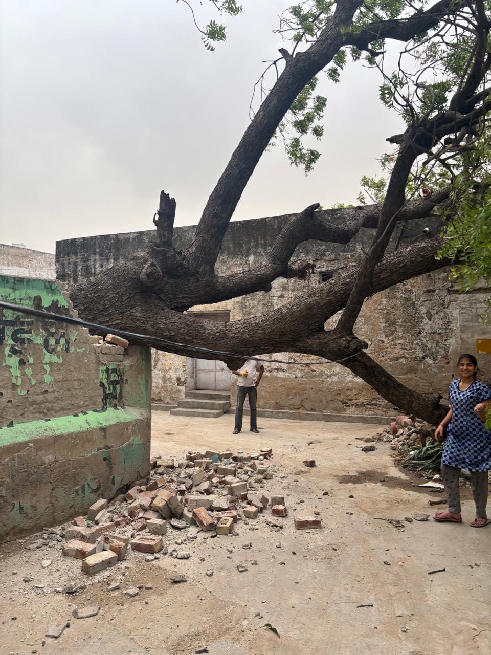 A tree fell due to the storm, and the wall of the water works was damaged.