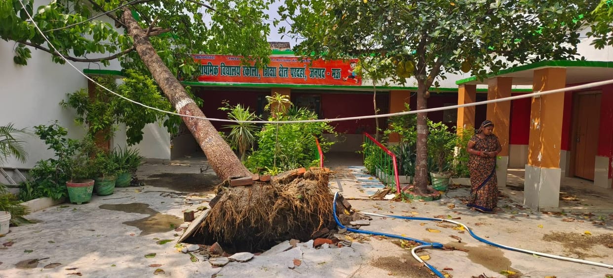 Trees and pillars fell at many places due to storm and rain, power supply remained disrupted