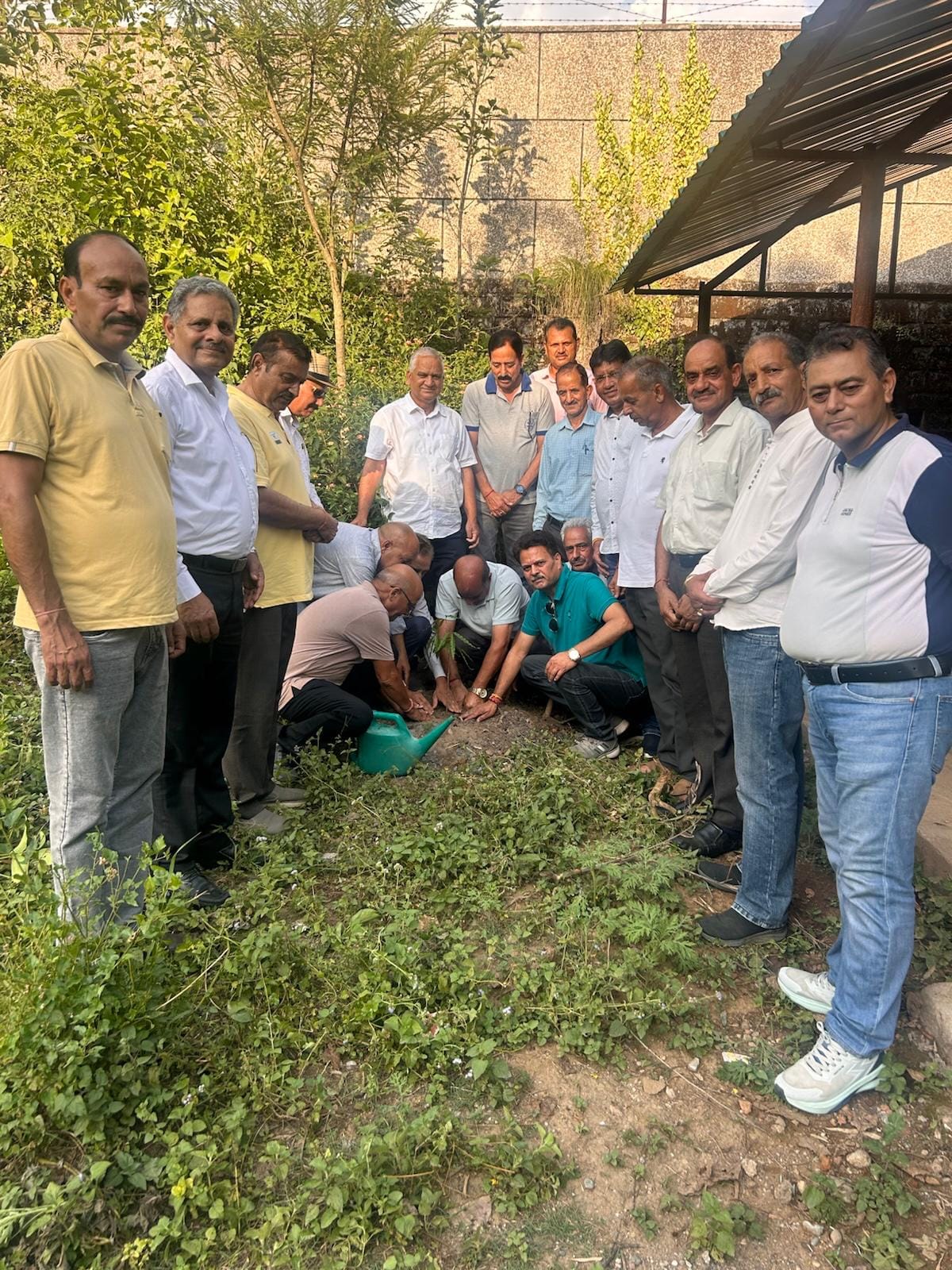 Rotary Club Shahpur planted greenery on Environment Day