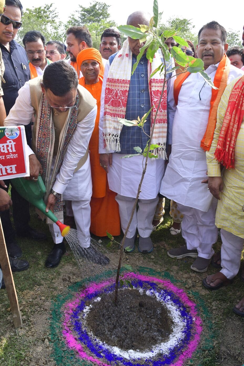 A pledge for greenery across the district... 6.23 lakh saplings planted.