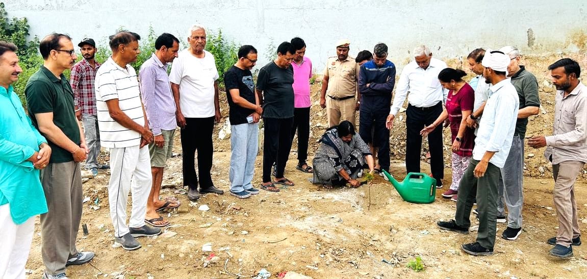 Pledged to plant and care for saplings