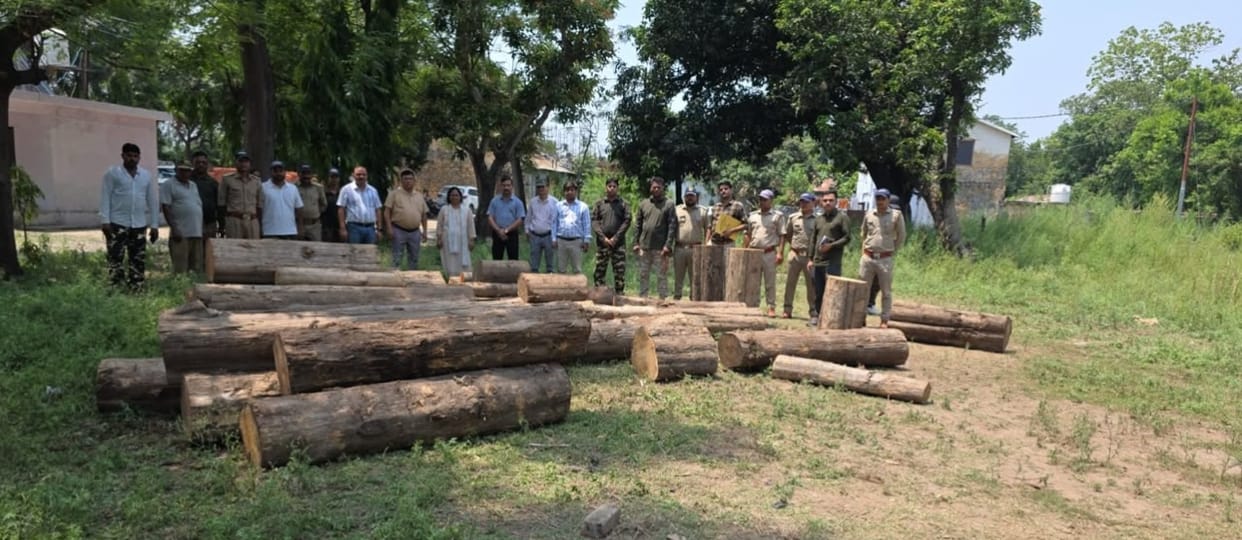 Illegal wood worth lakhs recovered from a toll in Tanakpur