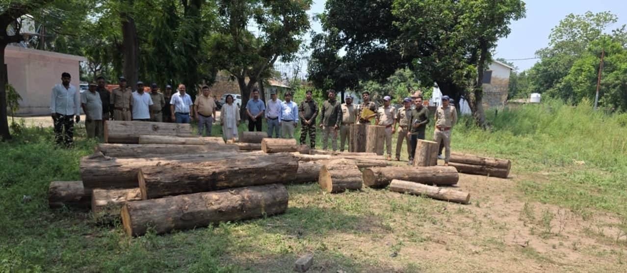 टनकपुर में गडढ़े से बरामद लाखों की लकड़ी और वन विभाग की टीम। स्रोत: विभाग