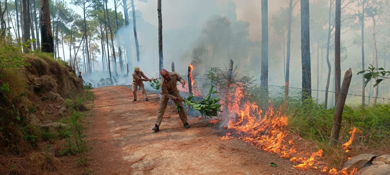Forest fires broke out at two places in Barsar on Environment Day.