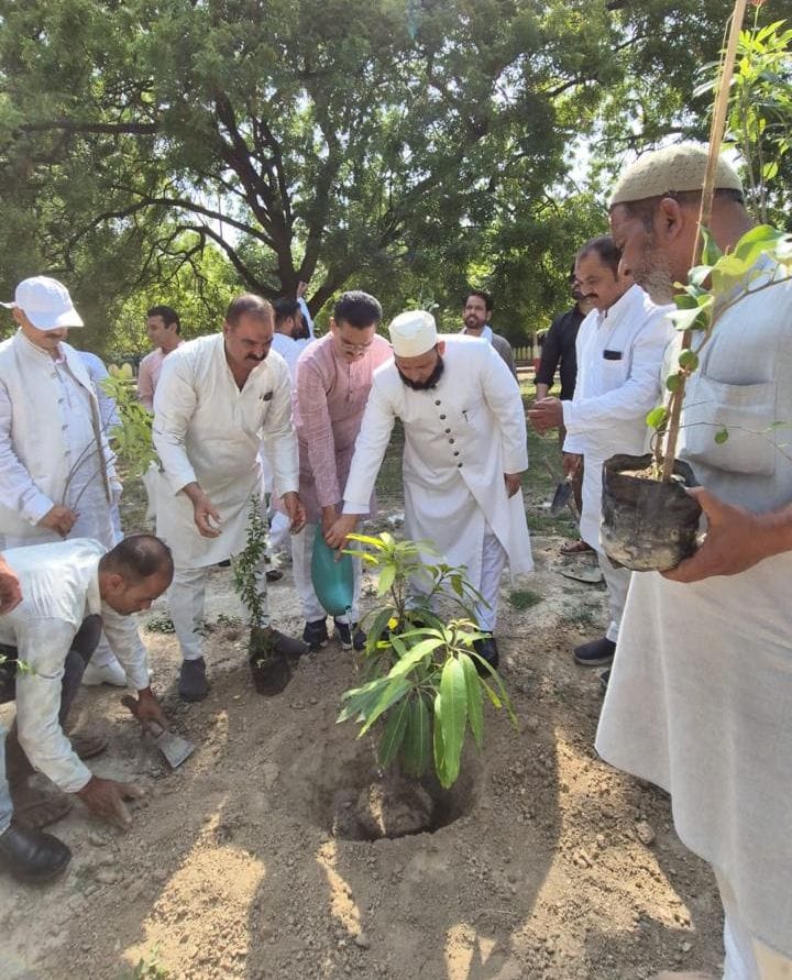 Somewhere tree plantation took place and somewhere awareness rally was taken out.