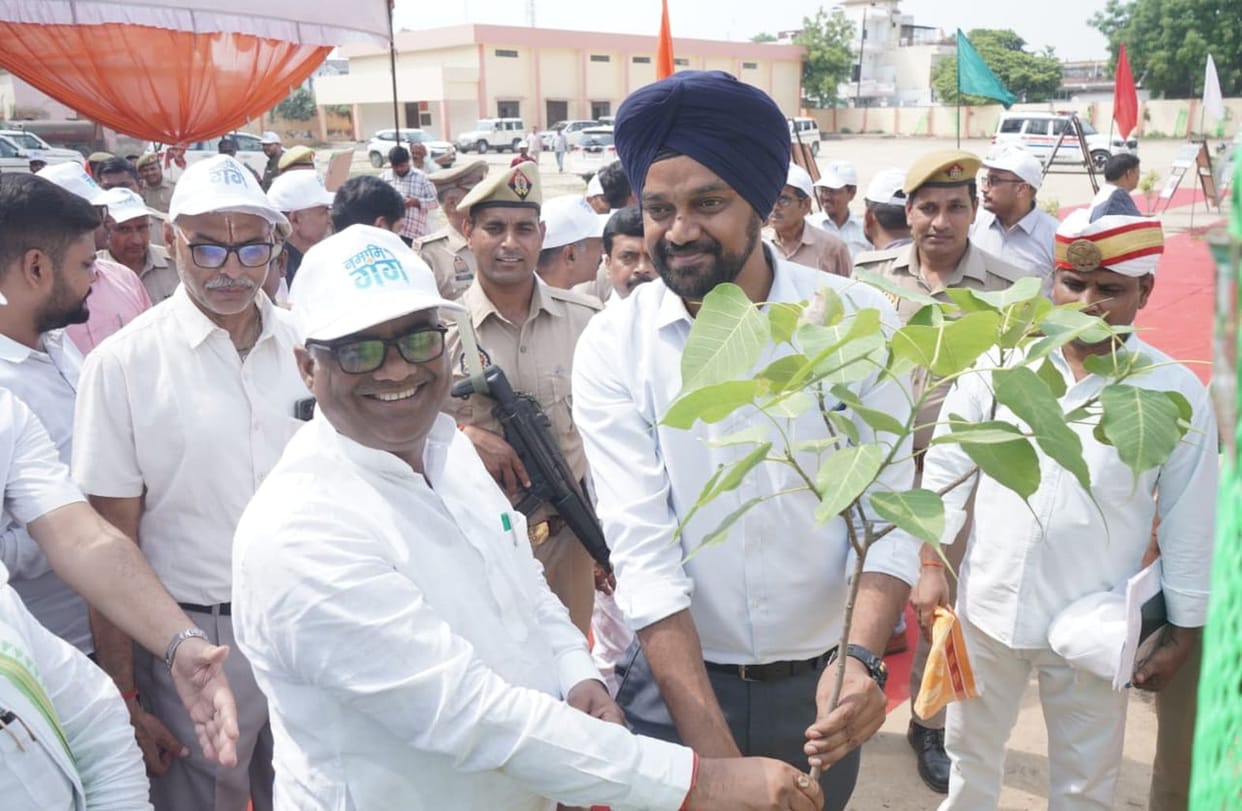 Plant trees to make the earth green
