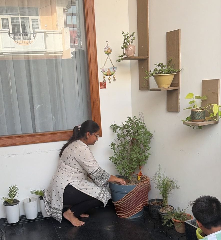The courtyard is adorned with greenery; plants are now enhancing the beauty of the home.