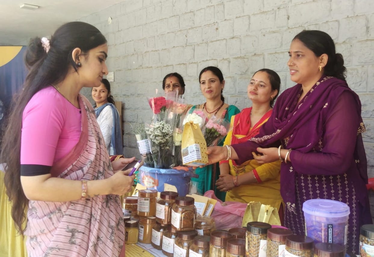 Talented students will get online coaching package: Rathore
