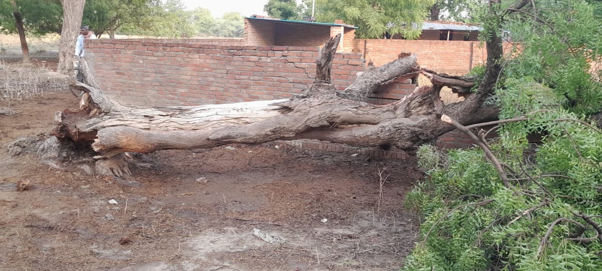 The storm uprooted seven trees, broke power poles, and disrupted electricity supply