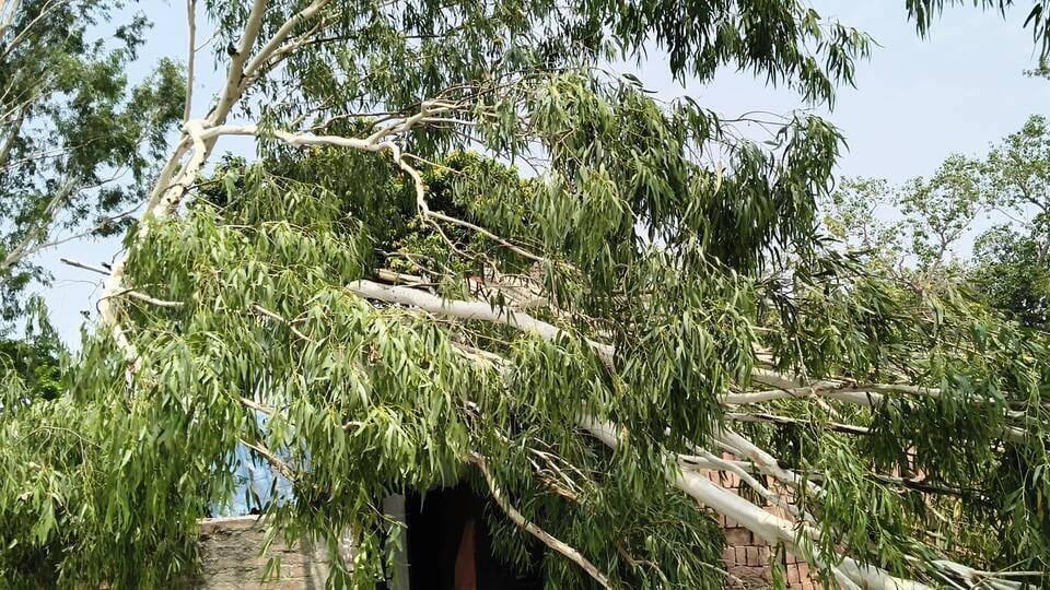 10 mm of rain accompanied by strong winds