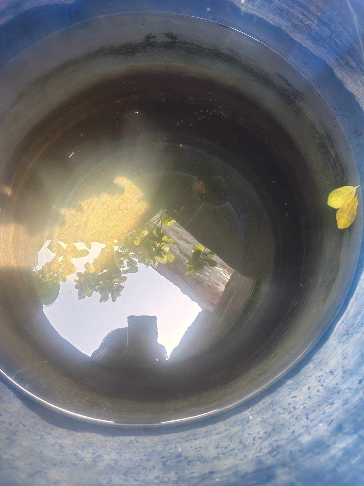 Poisonous water is being filtered through a cloth and used in the Amrit Yojana pipeline.
