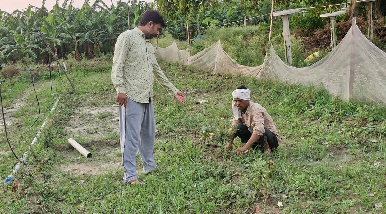 Navneet is eager to change his fortunes through rose farming