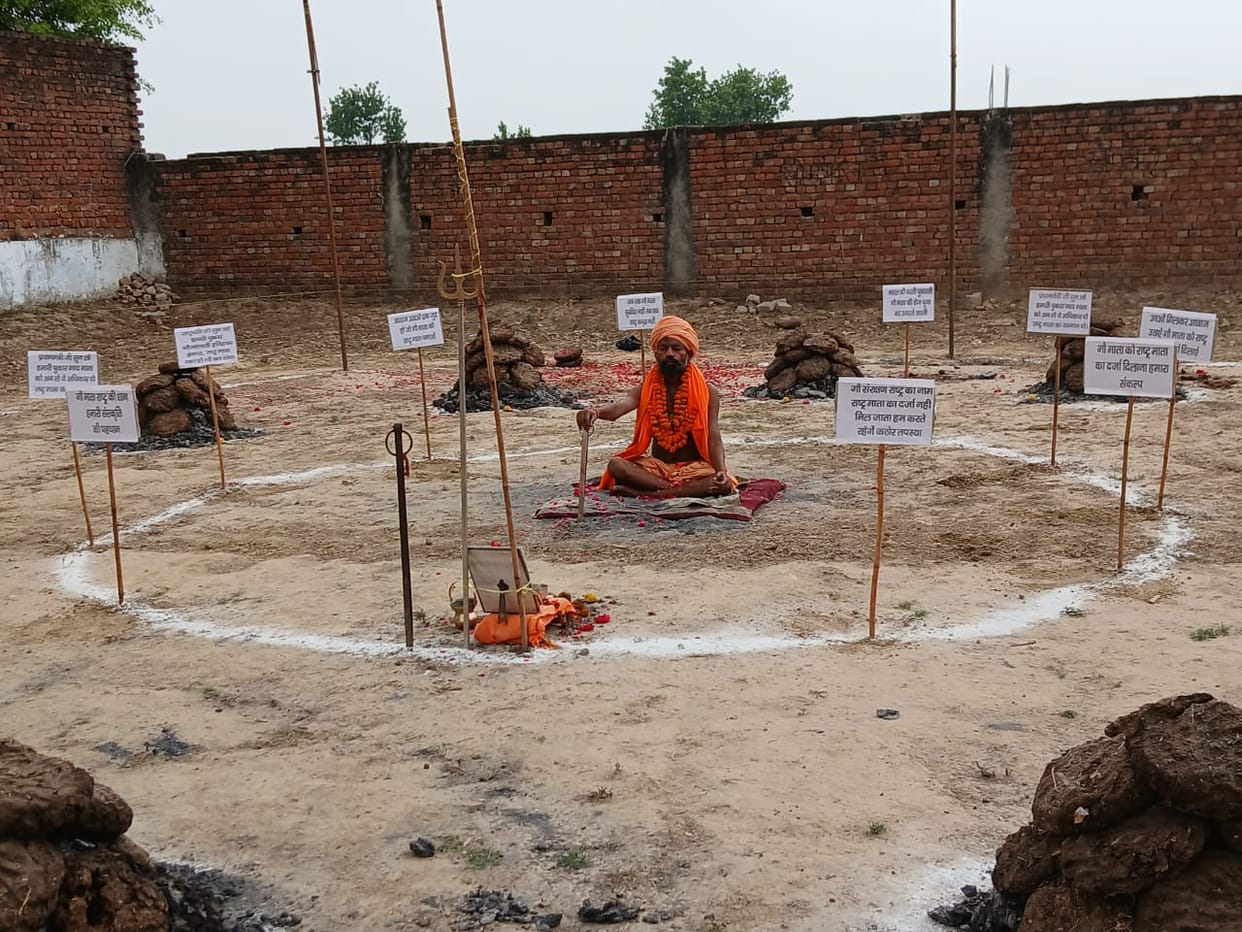 Penance begins to give the status of Mother Nation to Cow