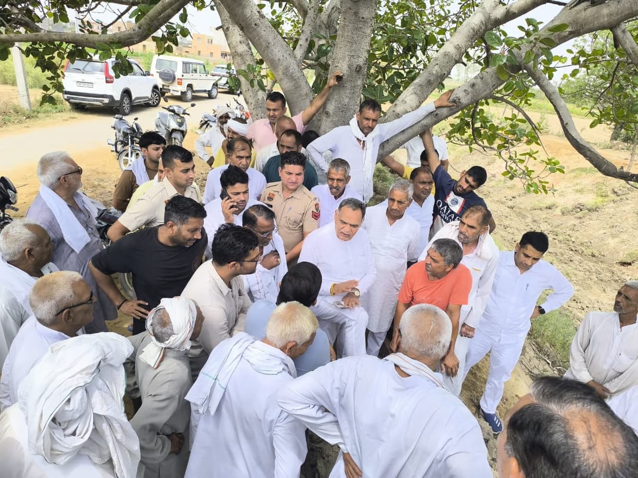 MLA inspected rainwater drainage arrangements