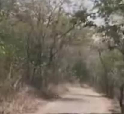 Husband hangs himself on Madwarani Hill following a dispute with his wife in Korba