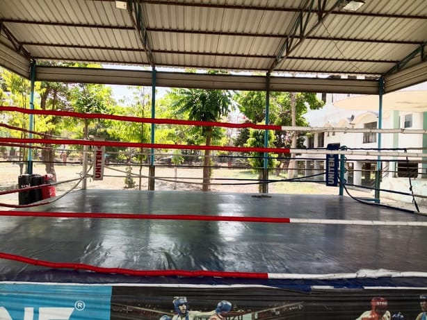 Divisional trials for boxing competition today