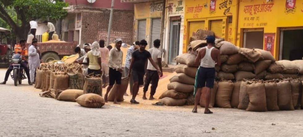 Maize trading taking place on the road; people facing inconvenience.