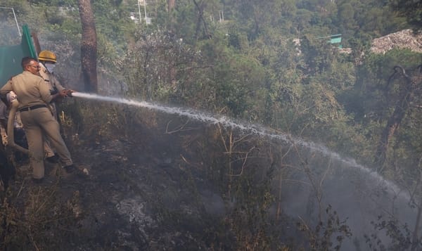 A massive fire broke out in the forest near the HRTC workshop.