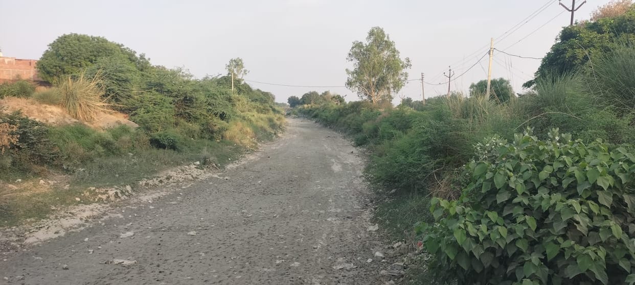 Paddy nursery hangs in the balance due to lack of water in the canal