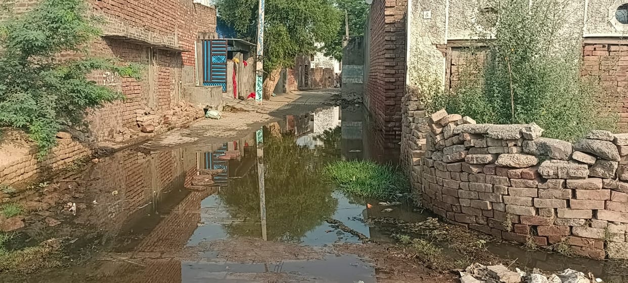 People are suffering due to waterlogging in the streets of Fariyabad village, the problem is increasing due to lack of drainage.