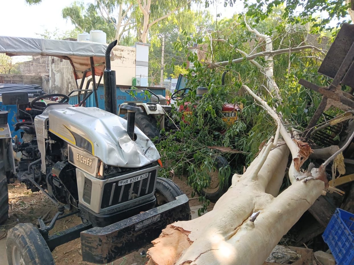 47 electricity poles toppled in storm; supply disrupted.