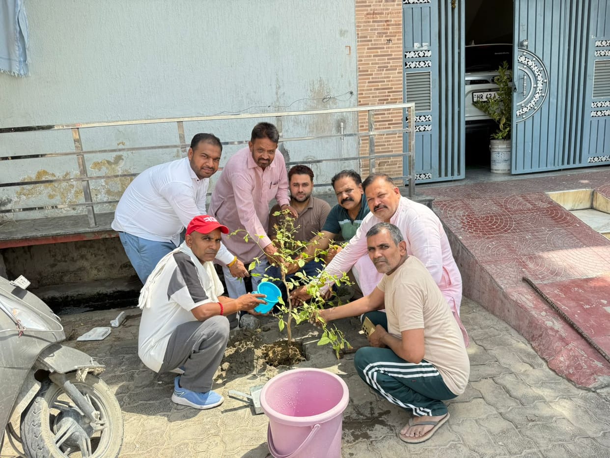 Planting trees maintains environmental balance